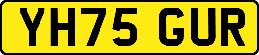 YH75GUR