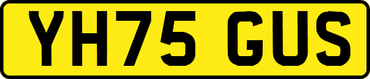 YH75GUS