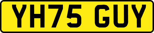 YH75GUY