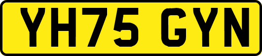 YH75GYN