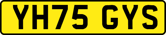 YH75GYS