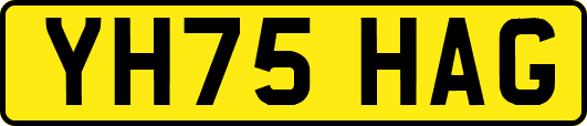YH75HAG