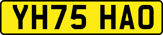 YH75HAO