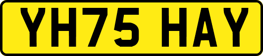 YH75HAY