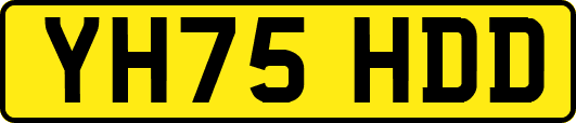 YH75HDD