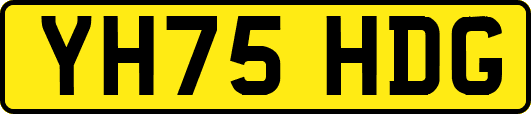 YH75HDG