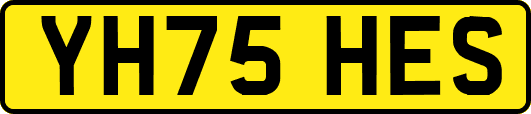 YH75HES