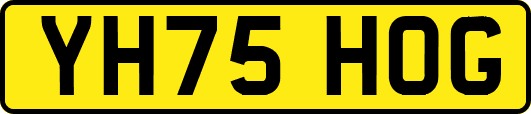 YH75HOG