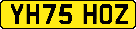 YH75HOZ
