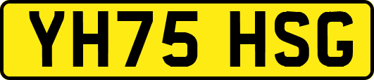 YH75HSG
