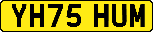 YH75HUM