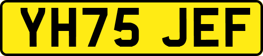 YH75JEF