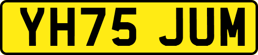 YH75JUM