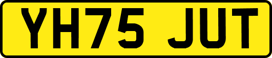 YH75JUT