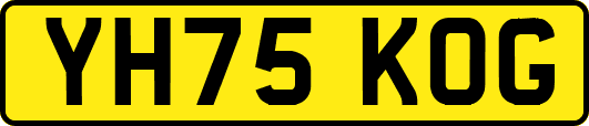 YH75KOG