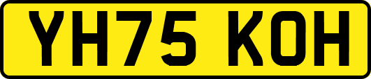 YH75KOH