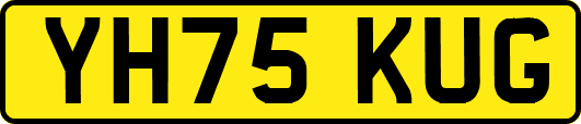 YH75KUG
