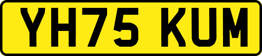 YH75KUM