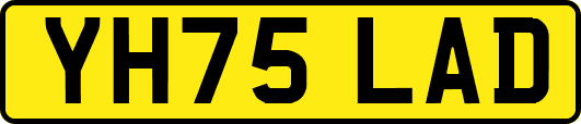 YH75LAD