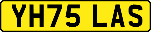 YH75LAS