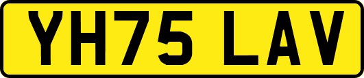 YH75LAV