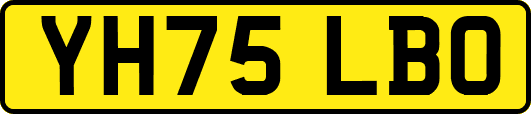 YH75LBO