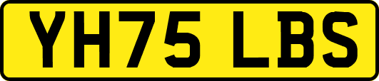 YH75LBS