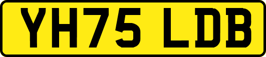 YH75LDB