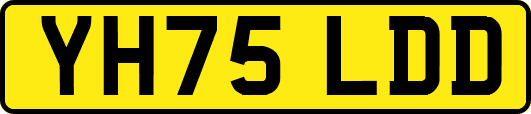 YH75LDD