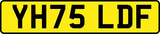 YH75LDF