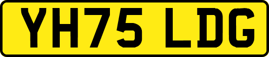 YH75LDG