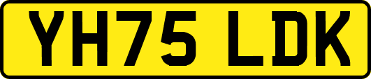 YH75LDK