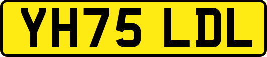 YH75LDL