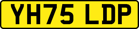 YH75LDP