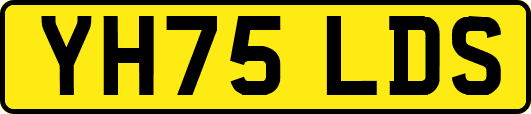 YH75LDS