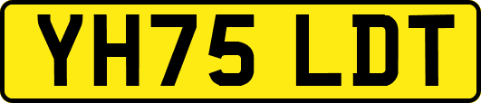 YH75LDT