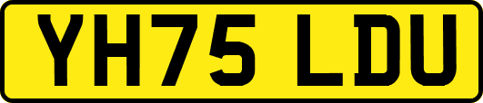 YH75LDU