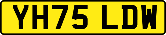 YH75LDW