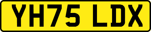 YH75LDX