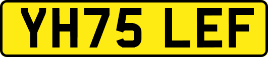 YH75LEF