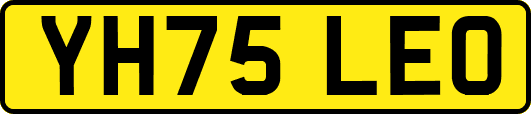 YH75LEO