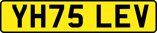 YH75LEV