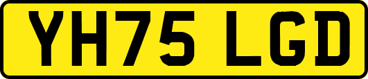 YH75LGD