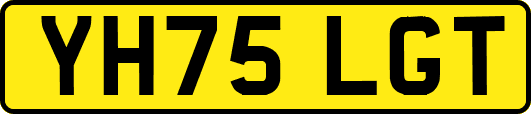 YH75LGT