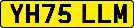 YH75LLM