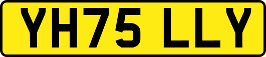 YH75LLY