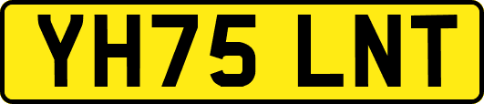 YH75LNT
