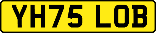 YH75LOB
