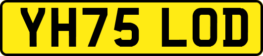 YH75LOD