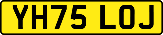 YH75LOJ